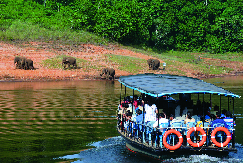 Vagamon-Thekkady Tour Package